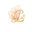 Casa Lapacho logo
